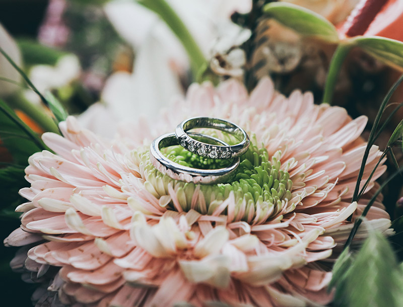 Celebrant Training Family and Marriage Celebrancy